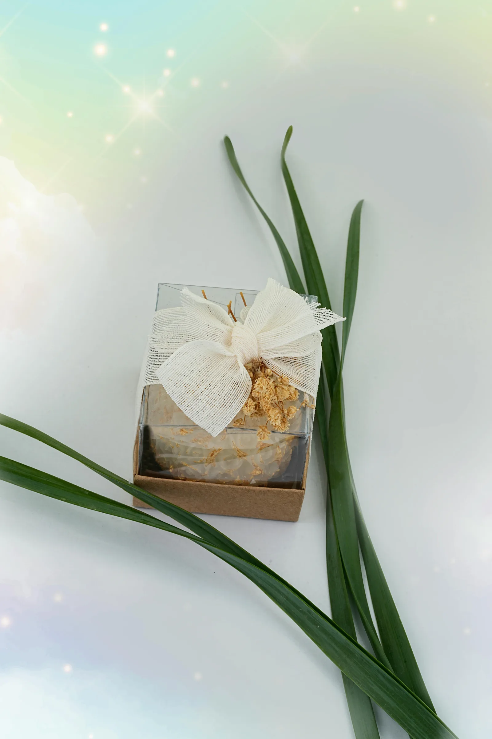 Bamboo Succulent Pot Eco Return Gift